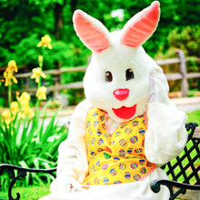 Load image into Gallery viewer, Easter Bunny on The Farm

